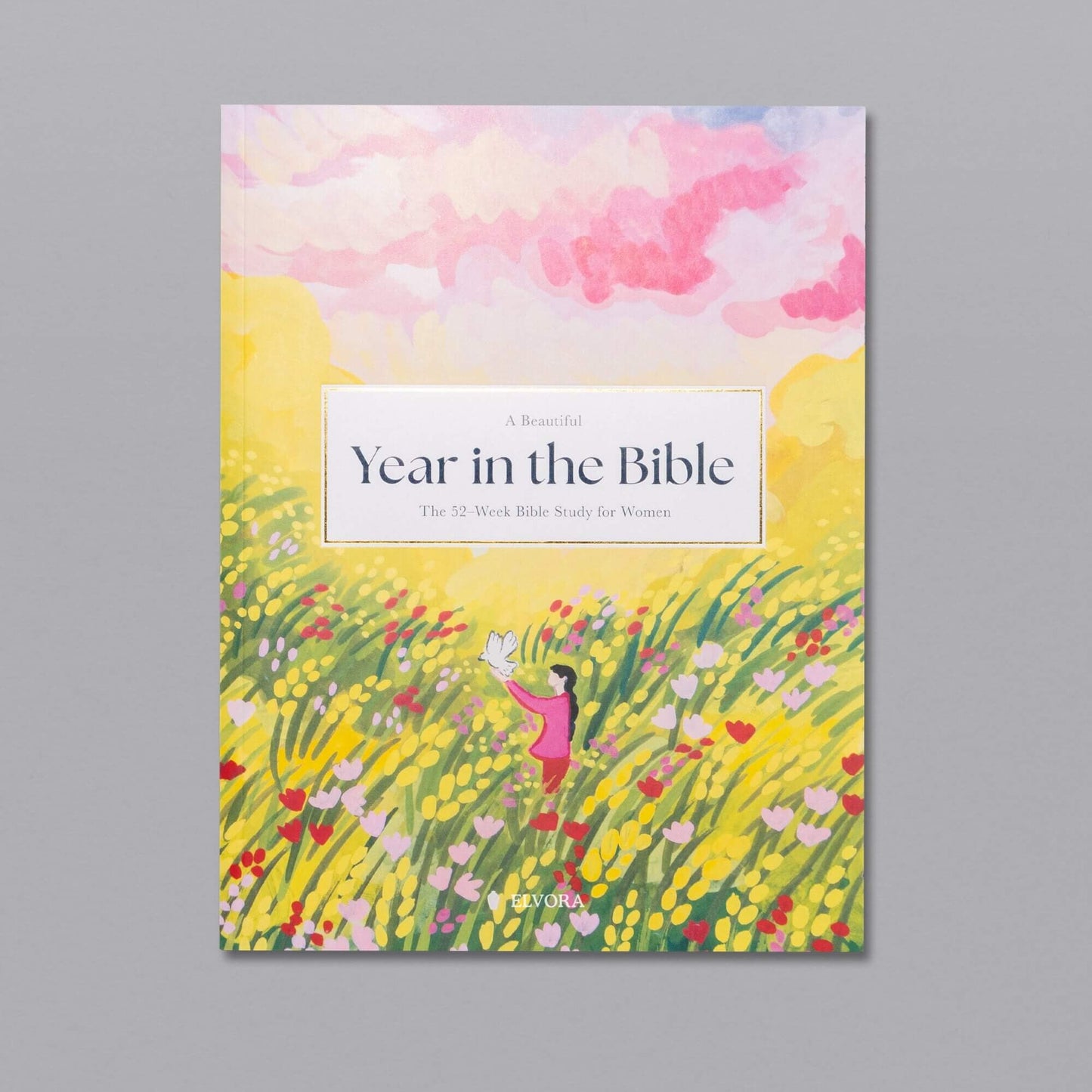 A Beautiful Year in the Bible: The 52-Week Bible Study for Women